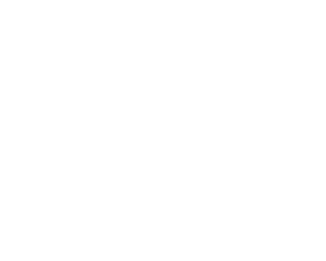 CDM Roofing